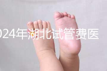 2024年湖北試管費(fèi)醫(yī)療保險可以報銷?專家:時間還沒到?