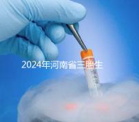 2024年河南省三胎生育津貼發生變化！南陽和信陽最高獎勵20萬！
