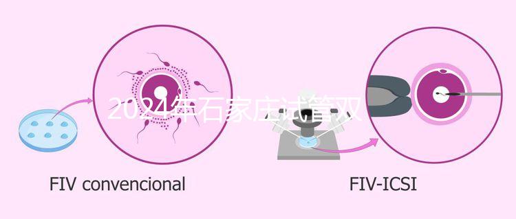 2024年石家莊試管雙胞胎醫(yī)院排名，不要錯(cuò)過新華、長(zhǎng)安