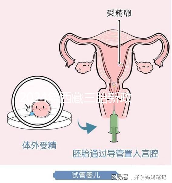 2024年西藏三胎新政策出臺(tái),拉薩、日喀則產(chǎn)假戳多久?