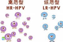 2024天津二胎政策開放，分析最新政策信息