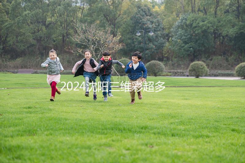 2024沈陽三維彩超多少錢？排名前三的醫(yī)院準(zhǔn)確率不低