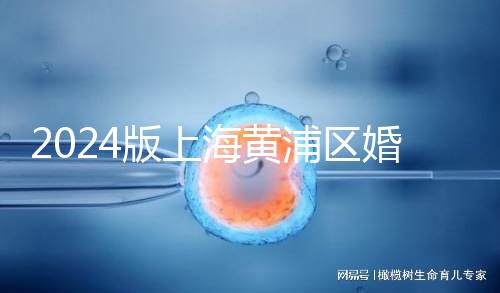 2024版上海黃浦區婚檢預約指南，包括詳細的流程和費用