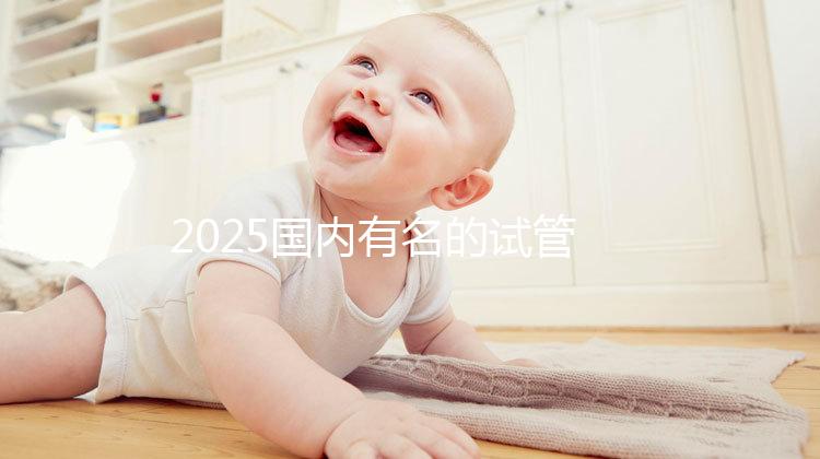 2025國內(nèi)有名的試管嬰兒醫(yī)院排名分享,匯總前十家!