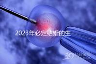 2023年必定結婚的生肖匯總，屬鼠、牛女均有望順利成婚