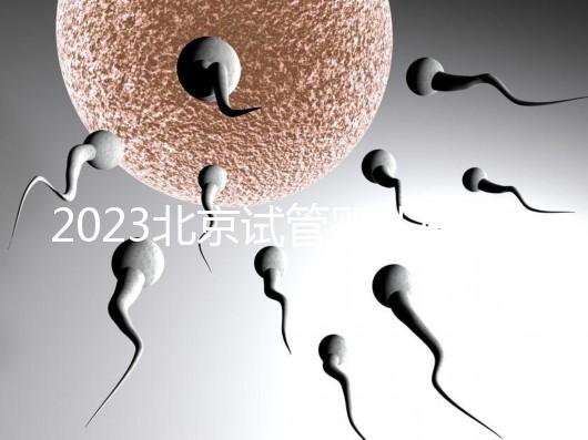 2023北京試管嬰兒醫(yī)院大全，助孕成功率排名前十公布