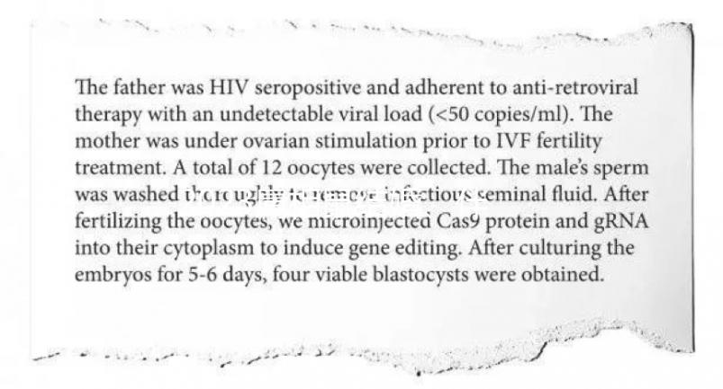 2023屬相鼠結(jié)婚、伴娘忌什么屬相答案在這,96年的要注意